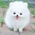 :iconvenomdanceranariel: