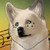 :iconvenompeaches: