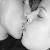 :iconvent-detoiles: