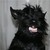:iconventark-2: