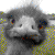 :iconventilatoren: