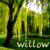 :iconvenuswillow:
