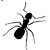 :iconver-the-rhino: