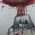 :iconveraeleanor: