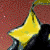 :iconverakai: