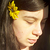 :iconveralfar: