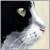 VeraZowa :iconverazowa: