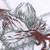 :iconverazynt-rhumaxis: