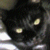 :iconverbalk: