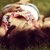 :iconverbotenesobst: