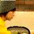 :iconverderawr:
