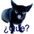 :iconveritas-maximus: