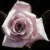 :iconVermisMax: