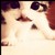 :iconveronicablanco: