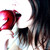 :iconveronicapb: