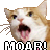 :iconverrwongule: