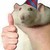:iconversatodon:
