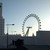 :iconvertex-modelling: