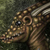 :iconvertexus:
