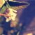 :iconvertigo-green: