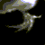 :iconvertigo-spumante: