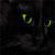:iconVeryBlackCat: