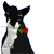 :iconverycrazygirl: