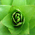 :iconverygreen: