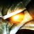 :iconvesemirthewitcher: