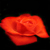 :iconvespertilia: