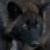 :iconvespertinewhispers: