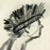 :iconvespoher: