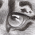 :iconvesprianage: