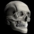 :iconvetdoc: