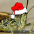 :iconveteranpants: