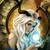 :iconveteroc: