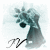 :iconvexen-iv: