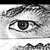 :iconvfxraven19: