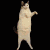 :iconvgcharriesarehott: