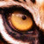 Vibakae :iconvibakae: