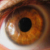 :iconvibrantvisions: