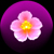 :iconvibrationalcreation: