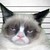 :iconvicartist: