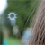 :iconvici-was-king: