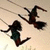 :iconvicious-razor: