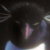:iconviciouspenguin413: