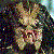:iconvicktor: