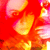 :iconVickwee: