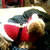 :iconvicky1087: