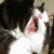 :iconvict0rxd: